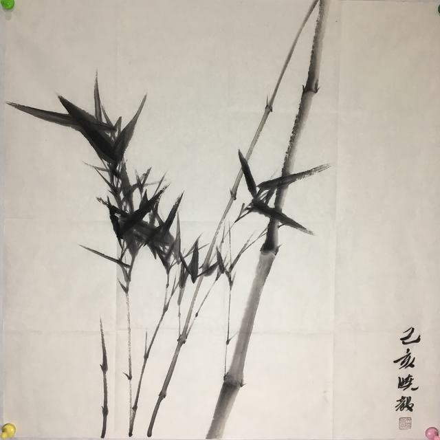 吴晓毅作品